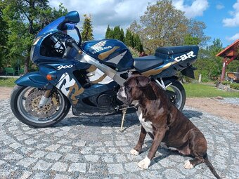 Honda CBR 900 RR - 2