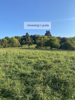 Prodej louky v k.ú. Troskovice - 2