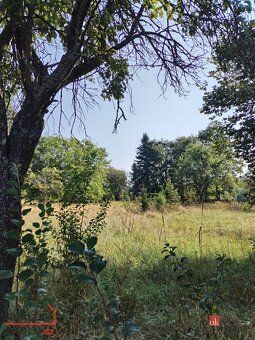 Prodej, pozemky/zahrada, 2433 m2, Orasín 35, 43121 Boleboř,  - 2