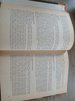 Variace na kuchyně Orientu - 2