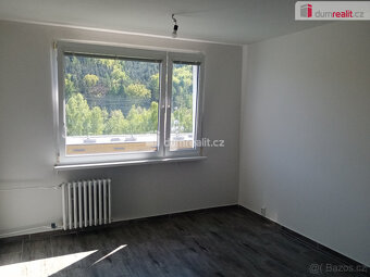 Pronájem hezkého bytu 1+1, 34m2, ul. Na Pěšině, Děčín - Byno - 2