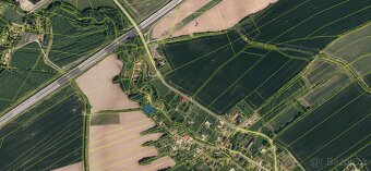 Prodám lesní pozemek v k.ú. Suchdol nad Odrou - 2