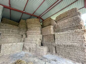Prodám hranaté senové balíky - 2
