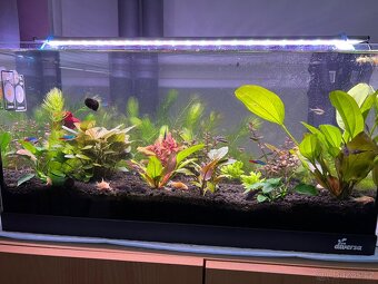 Akvárium Diversa akvarijní set Startup 60 černý 54l LED - 2