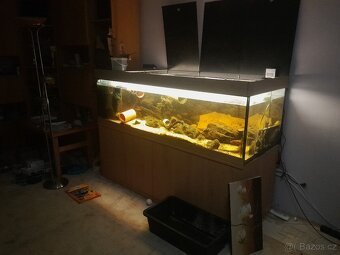 Akvarium - 2