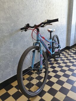 Superior XC 24 Paint, dětské kolo 24" - 2
