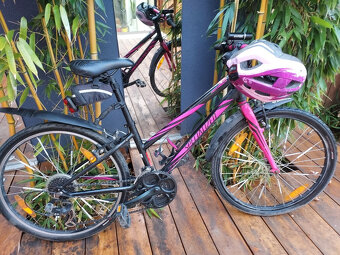 Dětské kolo Specialized Hotrock 24 - 2