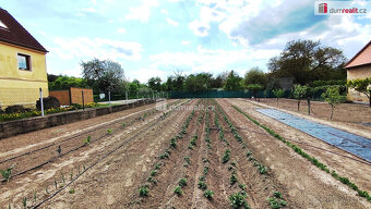 Vesnická usedlost - statek ve výborném stavu 281/3071 m2 - 2