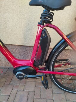 Elektrokoko Bosch - 2