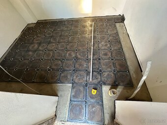 Cedic,  nove sokly, eutit, 20 kusu - 2