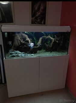 Akvarium 300l - 2