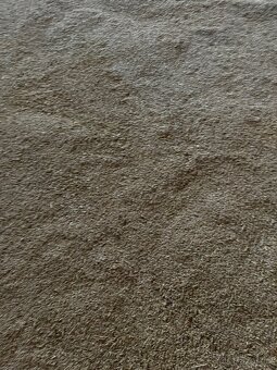 Prodám OVES NAHÝ - 2