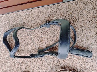 Bezudidlová uzdečka Fouganza - 2