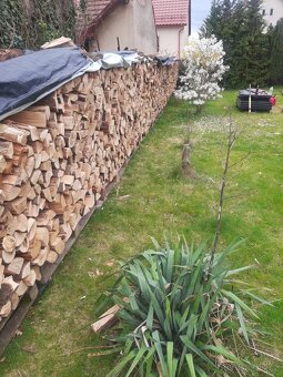 Suche palivove drevo - 2