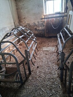 klec na prasnici - 2