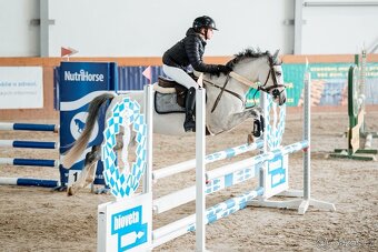 Nádherný pony valach - 2