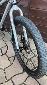 Early Rider Seeker 24'' - 2
