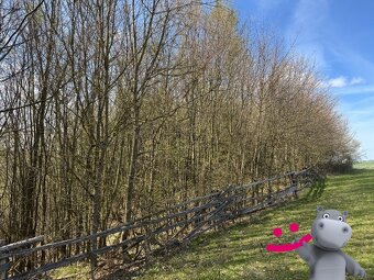Prodej lesa 3 109 m², Luhačovice, ev.č. 58602 - 2
