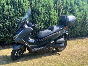 Honda Forza 125 - 2