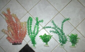 Akvarijní topítko + rostliny (5 ks) - 2