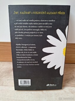 Hledání Aljašky - John Green - 2