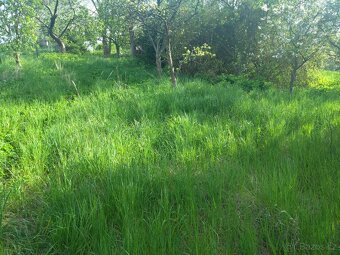 Pronájem zahrady 500 m² - Mšecké Žehrovice - 2