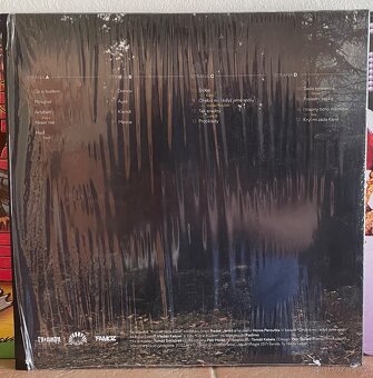 Vinyl DJ Fatte x Regie 257 - Aura 2LP - 2