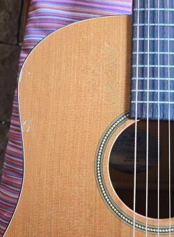 Prodám kytaru Seagull S6 Original + obal - 2