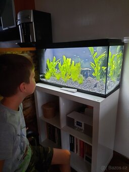 Akvarijní komplet Akvarium Aquatlantis 80l - 2