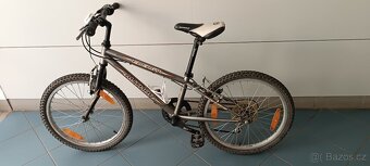 kolo 20 Author Energy - 2