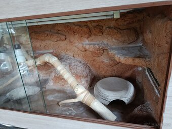 Pouštní terárium - 2