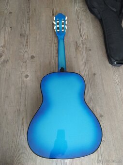 Kytara Pecka Guitars CGP-34BB - 2