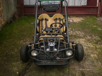 buggy 110 - 2