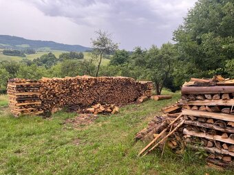 Palivové dříví - 2