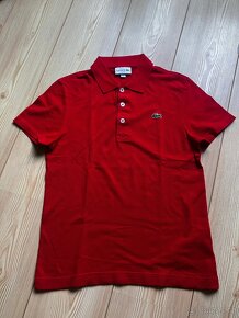 Polotriko Lacoste - 2