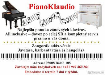Steinway and Sons najvyššía prémiová kvalita - 2