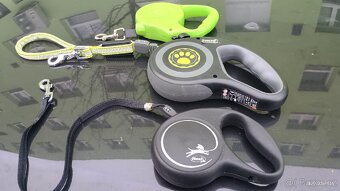 Prodej 2+1psi vodítko - 2