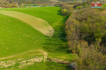 Prodej pole, 4100 m², Bílá Lhota - 2