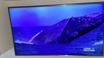 Prodám TV LG49LH615V - 2