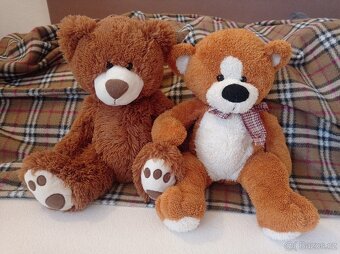 Plyšový medvěd - 2