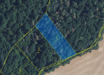 Lesní pozemek k.ú. Šerkovice 1.248m2 - 2