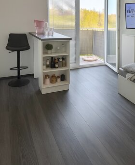 Pronájem bytu 1+kk 30 m² Libčice nad Vltavou - 2