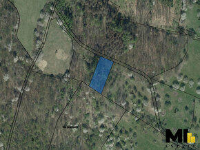 Prodej lesního pozemku o velikosti  1 462m2 v obci Stebno, P - 2