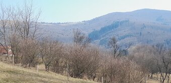 Prodej domu v obci ŽÍTKOVÁ - 2