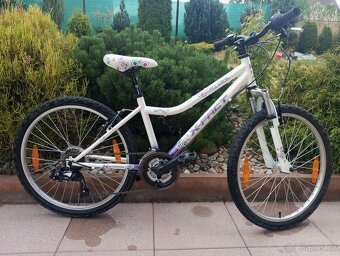 Horské kolo dětské 24" - 2