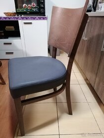Jídelní židle - 2