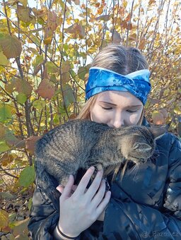 vločkový set jarní - 2