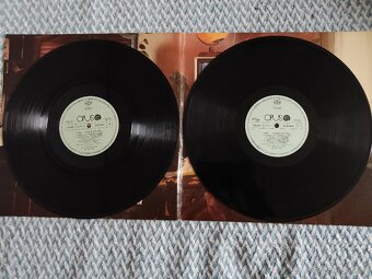 Vinylové desky ( gramofonové ) - 2