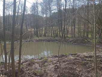 Pozemek 6962 m² Kořenov 167 Kč/m2 - 2