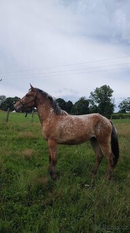 Prodám / vyměním - 2